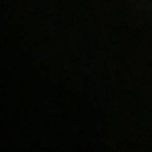 Meet your Posher, Vick